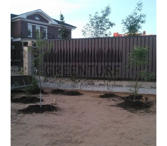 Озеленение загородного дома - фото - 1